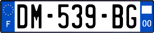 DM-539-BG
