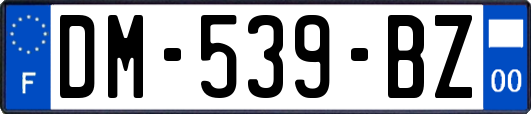 DM-539-BZ