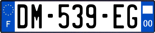 DM-539-EG