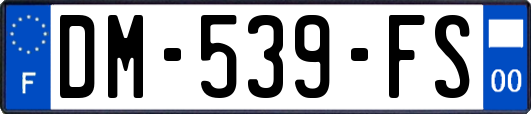 DM-539-FS
