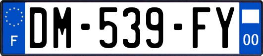 DM-539-FY