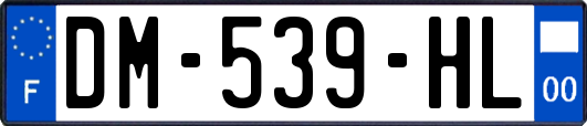 DM-539-HL