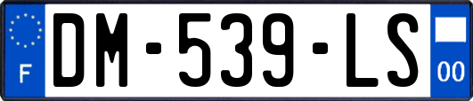 DM-539-LS