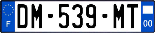 DM-539-MT