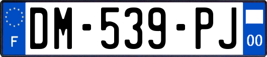 DM-539-PJ