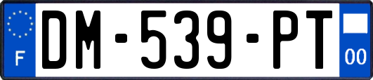 DM-539-PT