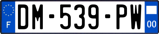 DM-539-PW