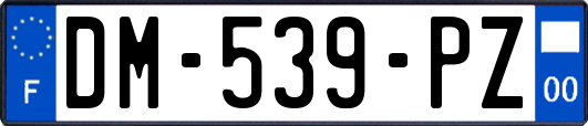 DM-539-PZ