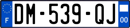 DM-539-QJ