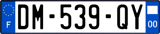 DM-539-QY