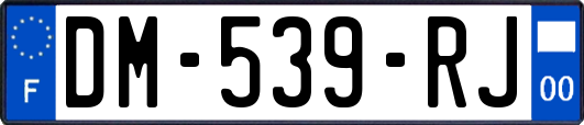 DM-539-RJ
