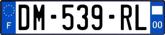 DM-539-RL