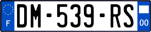 DM-539-RS