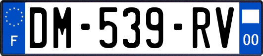 DM-539-RV