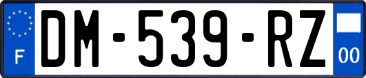 DM-539-RZ