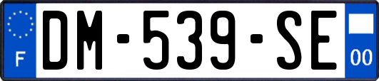 DM-539-SE