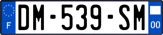 DM-539-SM