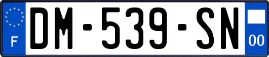DM-539-SN