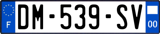 DM-539-SV
