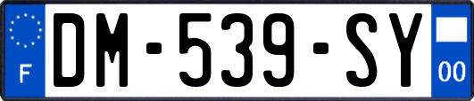 DM-539-SY