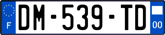 DM-539-TD