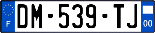 DM-539-TJ