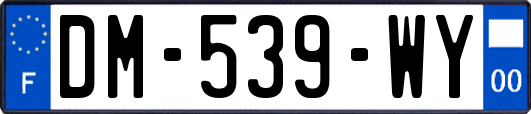 DM-539-WY