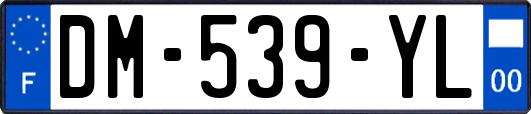 DM-539-YL