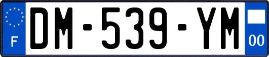 DM-539-YM