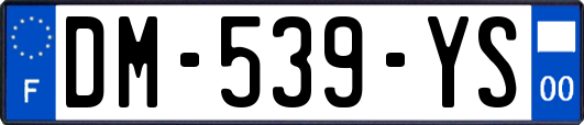 DM-539-YS