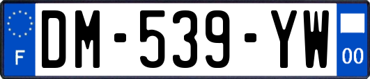 DM-539-YW