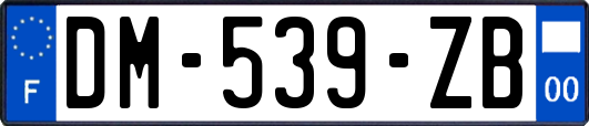 DM-539-ZB