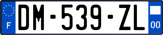 DM-539-ZL