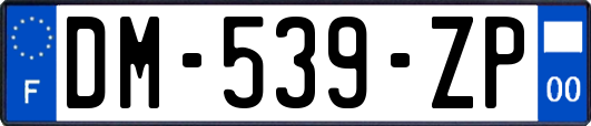 DM-539-ZP