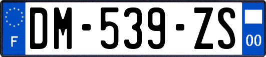 DM-539-ZS