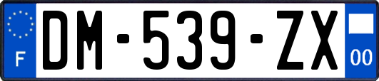 DM-539-ZX