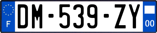 DM-539-ZY