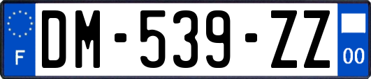 DM-539-ZZ