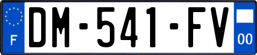 DM-541-FV