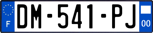 DM-541-PJ