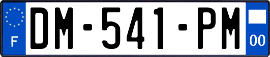 DM-541-PM