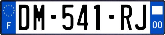 DM-541-RJ