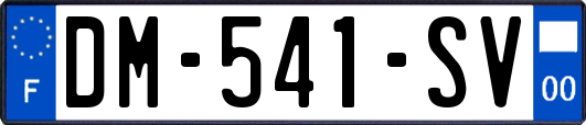 DM-541-SV