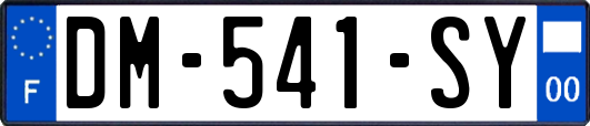 DM-541-SY