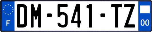 DM-541-TZ