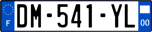 DM-541-YL