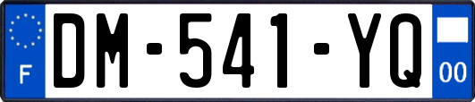 DM-541-YQ