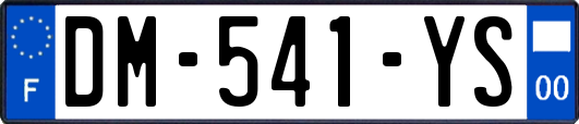 DM-541-YS