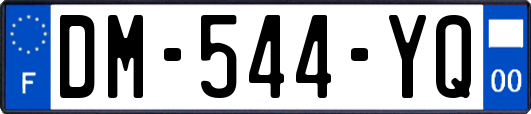 DM-544-YQ