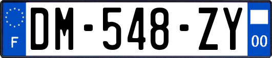 DM-548-ZY